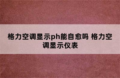 格力空调显示ph能自愈吗 格力空调显示仪表